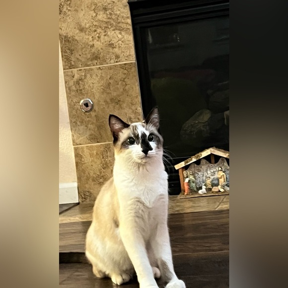 Meet your Posher, Neftali - Picture 5 of 6